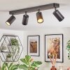 Foren ceiling light, ceiling spotlight LED black, 4-light sources, Colour changer