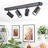 Foren ceiling light, ceiling spotlight LED black, 4-light sources, Colour changer