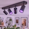 Foren ceiling light, ceiling spotlight LED black, 4-light sources, Colour changer