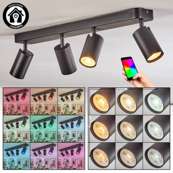 Foren ceiling light, ceiling spotlight LED black, 4-light sources, Colour changer
