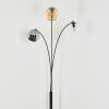 Koyoto globe light, floor lamp Amber, chrome, clear, Smoke-coloured, 3-light sources