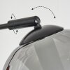 Koyoto globe light, floor lamp Amber, clear, Smoke-coloured, 3-light sources