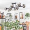 Ripoll ceiling light, globe light chrome, clear, Smoke-coloured, 10-light sources