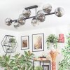 Ripoll ceiling light, globe light chrome, clear, Smoke-coloured, 10-light sources