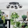 Chehalis ceiling light, globe light chrome, Smoke-coloured, 4-light sources