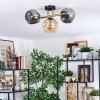Ripoll ceiling light, globe light gold, black, 3-light sources