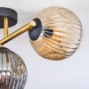 Ripoll ceiling light, globe light gold, black, 3-light sources