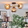 Ripoll ceiling light, globe light gold, black, 3-light sources