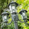 NATAL Lamp Post green, black, 3-light sources