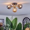 Chehalis ceiling light, globe light gold, black, 3-light sources