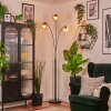 Ripoll globe light, floor lamp Amber, clear, Smoke-coloured, 3-light sources