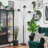 Koyoto globe light, floor lamp clear, Smoke-coloured, 3-light sources