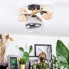Chehalis ceiling light, globe light gold, black, 3-light sources