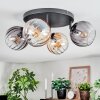 Koyoto ceiling light, globe light Amber, clear, Smoke-coloured, 4-light sources