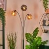 Ripoll globe light, floor lamp Amber, Smoke-coloured, 3-light sources