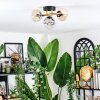 Chehalis ceiling light, globe light gold, black, 3-light sources