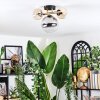 Chehalis ceiling light, globe light gold, black, 3-light sources