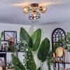 Chehalis ceiling light, globe light gold, black, 3-light sources