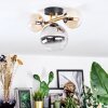 Chehalis ceiling light, globe light gold, black, 3-light sources