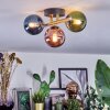Chehalis ceiling light, globe light gold, black, 3-light sources