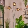 Koyoto globe light, floor lamp Smoke-coloured, 3-light sources