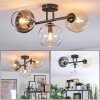 Koyoto ceiling light, globe light Amber, clear, Smoke-coloured, 3-light sources