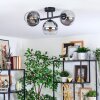 Koyoto ceiling light, globe light clear, Smoke-coloured, 3-light sources