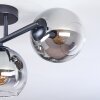 Koyoto ceiling light, globe light clear, Smoke-coloured, 3-light sources