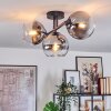 Koyoto ceiling light, globe light clear, Smoke-coloured, 3-light sources