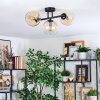 Koyoto ceiling light, globe light Amber, clear, 3-light sources