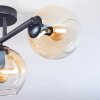 Koyoto ceiling light, globe light Amber, clear, 3-light sources