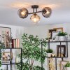 Koyoto ceiling light, globe light Amber, clear, Smoke-coloured, 3-light sources