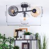 Koyoto ceiling light, globe light Amber, clear, Smoke-coloured, 3-light sources