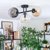 Koyoto ceiling light, globe light Amber, clear, Smoke-coloured, 3-light sources