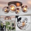 Koyoto ceiling light, globe light chrome, clear, Smoke-coloured, 4-light sources