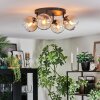 Koyoto ceiling light, globe light Amber, clear, 4-light sources