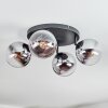 Gastor ceiling light, globe light chrome, clear, Smoke-coloured, 4-light sources