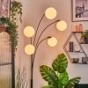 Gastor globe light, floor lamp white, 5-light sources