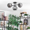 Ripoll ceiling light, globe light Smoke-coloured, 3-light sources