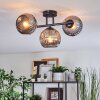 Ripoll ceiling light, globe light Smoke-coloured, 3-light sources