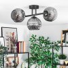 Ripoll ceiling light, globe light Smoke-coloured, 3-light sources