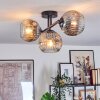 Ripoll ceiling light, globe light chrome, clear, Smoke-coloured, 3-light sources