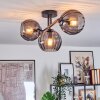 Koyoto ceiling light, globe light Smoke-coloured, 3-light sources