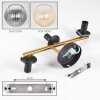 Koyoto ceiling light, globe light gold, black, 3-light sources
