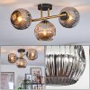 Ripoll ceiling light, globe light gold, black, 3-light sources
