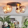Koyoto ceiling light, globe light Amber, clear, Smoke-coloured, 4-light sources