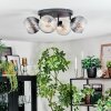 Koyoto ceiling light, globe light Amber, clear, Smoke-coloured, 4-light sources
