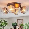 Koyoto ceiling light, globe light Amber, clear, Smoke-coloured, 4-light sources
