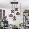Koyoto hanging light, globe light, pendant light gold, black, 5-light sources