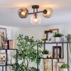 Ripoll ceiling light, globe light Amber, clear, Smoke-coloured, 3-light sources